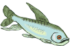 Fishes