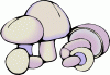 Mushrooms 