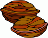 walnut