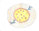 Quiches 